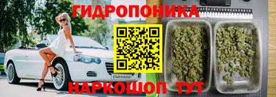 сатива Наро-Фоминск