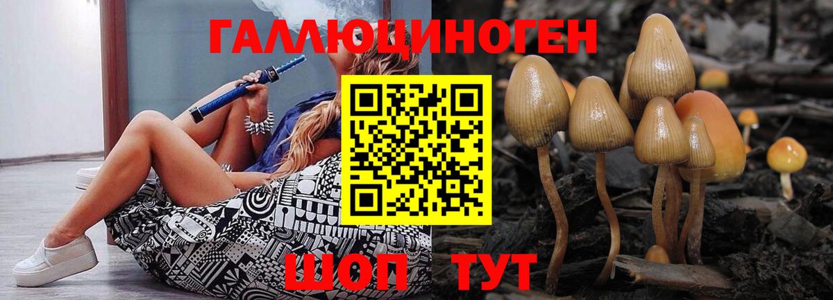 Галлюциногенные грибы мицелий Россошь